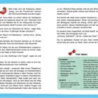 Text: „Heiße Maronen“, „Du brauchst:“, „So geht’s:“. Illustration: Zwei rote Vögel und ein gezeichneter Weihnachtsbaum.