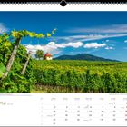 Mai. Weinberg im Markgräflerland mit kleinem Gebäude. Im Hintergrund Hügel und blauer Himmel, Kalenderformat.