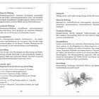 Texte beschreiben die physische und psychische Wirkung von Aromen, Anwendungen und Duftprofil; ein botanischer Abschnitt über Lärche. Enthält eine Abbildung von Lärchenzweigen.