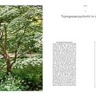 Transparenzschnitt in der Praxis. Links: blühender Baum mit weißen Blüten. Rechts: Text über Baumschnitt. Liste von Pflanzennamen.