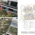 Illustration: Private Garden-Plan, Pflanzenliste mit farbigen Symbolen. Fotos von begrünten Dachgärten mit verschiedenen Pflanzen.