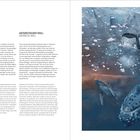 Links zwei Texte: "BUCKELWALE HUMPBACK WHALES" und "ANTARKTISCHER KRILL ANTARCTIC KRILL". Rechts Illustration von Walen im Meer.