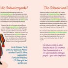 Links Text: Was ist die Schweizergarde? Rechts Titel: Die Schweiz und Europa. Bild: Illustration eines Schweizergardisten.