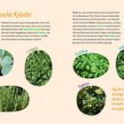 Texte: Italienische Kräuter, Salbei, Oregano, Rosmarin, Basilikum, Lorbeer, Thymian. Verschiedene Kräuter in ovale Fotos.