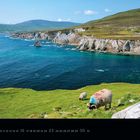 Ashleam Bay, Achill Island. Kalenderblatt für Mai 2027. Küste mit grünem Hügel, Schafen und blauem Meer.