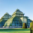 Grünes, historisches Glashaus mit mehreren Kuppeln, umgeben von gepflegtem Rasen und geschnittenen Büschen, unter blauem Himmel.