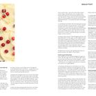 Begleittext. Bildung für nachhaltige Entwicklung – was heißt das eigentlich? Ernährung als Kulturbetrag.