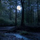 Ein Vollmond leuchtet über einem stillen, nächtlichen Wald mit hohen Bäumen und einem sanft fließenden Bach.