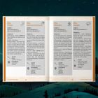 Text zu Wesen "Die Pixies", "Die Gestaltwandler", "Die Dryaden", "Die Gnome". Darstellung einer Buchseite, blauer Hintergrund.