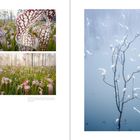 Zwei Bilder links, Pflanzen mit gemusterten Kelchen. Rechts ein Baum mit vielen weißen Vögeln im Nebel.