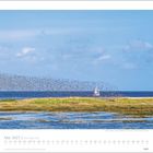 Kalenderseite für Mai 2027. Viele Vögel fliegen über Wasser, im Hintergrund segelt ein Schiff. Darunter ein grasbewachsener Uferbereich.