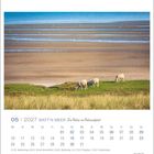 05 | 2027, WATT'N MEER, Die Natur im Nationalpark. Drei Schafe grasen auf grünem Gras vor Watt, Meer und Vögeln.