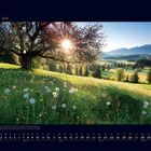 06 Juni, Kalender mit Wiese im Vordergrund, Baum und Sonne, die durch Äste scheint, Berge im Hintergrund.