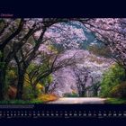 "10 Oktober" oben, darunter eine Allee mit blühenden Kirschbäumen in Rosa und Grün, umgeben von sanftem Licht.