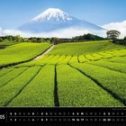 Kalender für Japan im Mai. Grüner Teefeld vor dem Berg mit Schnee bedeckt. Klarer Himmel und vereinzelte Bäume.