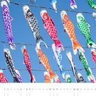 "Bunte Koi-Nobori am Kodomo no Hi." Bunte, windsackartige Karpfenfahnen hängen vor blauem Himmel. Unten Monatszahlen.