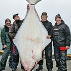 Vier Männer posieren stolz mit einem riesigen, kopfüber hängenden Fisch auf einem Bootsanleger.