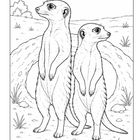 Zwei aufrecht stehende Erdmännchen vor ihrem Bau, umgeben von Gräsern und kleinen Felsen.