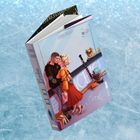 „Anny Thorn“, „Ice Ice Bookie“, „A Hockey Romance To Knock You Out“, „BEAVERS Band“. Ein Paar und ein Hund auf Eis.