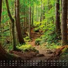 Kalender mit Zahlen 1-31 und Wochentagen, darunter ein dichter Wald mit einem schmalen, erdigen Pfad durch die Bäume.