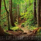 Kalenderdaten unten, Zahlen 1-31, beginnend mit Samstag. Waldweg führt durch dichte, grüne Bäume.