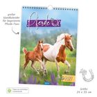 Kalendertext: "Pferde", "großer Wandkalender für begeisterte Pferde-Fans", "2027". Zwei galoppierende Pferde auf einer Blumenwiese.