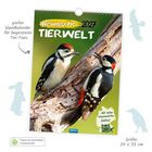 "Ein großer Wandkalender für begeisterte Tier-Fans. Heimische Tierwelt 2027. Größe: 24 x 33 cm." Zwei Spechte auf einem Ast.