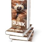 "ILONA HARTMANN, JUNK, ROMAN". Drei Bücher mit einem braunen Plüschbären-Cover übereinandergestapelt.