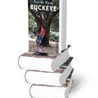 "Patrick Ryan, BUCKEYE, ROMAN" auf dem Buchcover. Ein Kind lehnt an einem Baum, Bücher sind gestapelt.