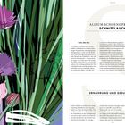 ALLIUM SCHOENOPRASUM SCHNITTLAUCH Ernährung und Gesundheit. Illustration von violett-blühenden Pflanzen.