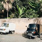 Zwei kleine Dreiradfahrzeuge vor einer Mauer, umgeben von üppigen grünen Palmen und Bananenpflanzen.