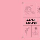 "Naturkräfte" in großen Buchstaben. Illustration von Sonne, Wind, Schneeflocke, Feder, Vulkan und einem Felsen auf rosa Hintergrund.