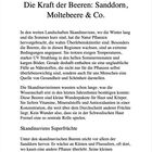 5 Die Kraft der Beeren: Sanddorn, Moltebeere & Co. Text über Skandinaviens Beeren, die reich an Nährstoffen sind.