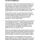 Kapitel 8: Grundlagen der Achtsamkeit wird erklärt, Missverständnisse aufgeklärt und Achtsamkeit als mentale Übung dargestellt.