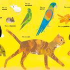 "Dies ist ein Kaninchen, Maus, Hamster, Sittich, Papagei, Katze, Hund, Goldfisch, Meerschweinchen, Schildkröte. Alles Haustiere."