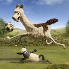 Eine Illustration zeigt ein springendes Lama und ein umgefallenes Schaf beim Fußballspielen auf einer grünen Wiese.