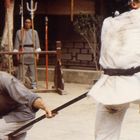Zwei Männer kämpfen mit Stäben; einer weicht aus, der andere greift an. Im Hintergrund stehen weitere Männer mit Speeren.