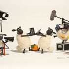 Illustration: Schafe und Hund am Filmset. Schafe bedienen Kamera, Klappe und Mikrofon. Hund und Schaf besprechen Szene.