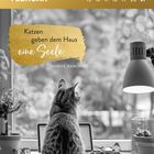 FEBRUAR. Katzen geben dem Haus eine Seele. Patrice Jeancourt. Kalenderseite, Katze schaut aus einem Fenster, Schreibtisch.