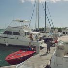 Auf einem Steg liegen Boote, eines davon mit der Aufschrift "Cachivache". Menschen genießen die sonnige Umgebung.