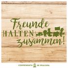 „Freunde halten zusammen!“ in Grün auf Holz, darunter kindliche Tier-Silhouetten. Unten steht „Coppenrath - Die Spiegelburg“.