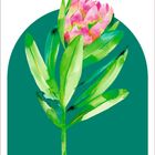 "Joker" in grün, gemalte Blume mit rosa Blüten und grünen Blättern vor einem dunklen Grün.