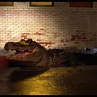 Ein großes Krokodil kriecht aus einem Gully auf eine nächtliche Straße, nahe einem Müllcontainer und einem Hydranten.