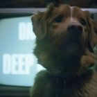 „DARE DEEPER“ steht auf einem Bildschirm. Ein Hund blickt nach links, im Hintergrund ist ein alter Fernseher.