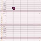 Kalender für November, illustriert mit großen, bunten Blumen im Hintergrund und kleinen Blumen an einigen Tagen.