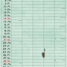 Text "NOVEMBER", Tage und Wochentage. Illustration mit Tieren in einem Raum und herbstlicher Dekoration.