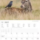 Text: "11 · 2027". Kalenderseite mit Datum und Notizenfeld. Bild: Hirsch im Gras, eine Krähe sitzt auf seinem Rücken.