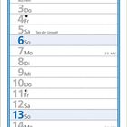 Kalenderblatt für Juni mit Gemälde „Mohn“ von Carl Larsson. Detaillierte Tagesübersicht und wichtige Daten wie Sommersonnenwende.