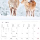 Kalender für Dezember 2027. Foto von zwei Sikahirschen im Schnee. Feiertage: 8., 25., 26., 31. Dezember.