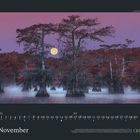 November, GEO. Kalender mit Mond über mystischem Wald und violettem Himmel im Hintergrund.